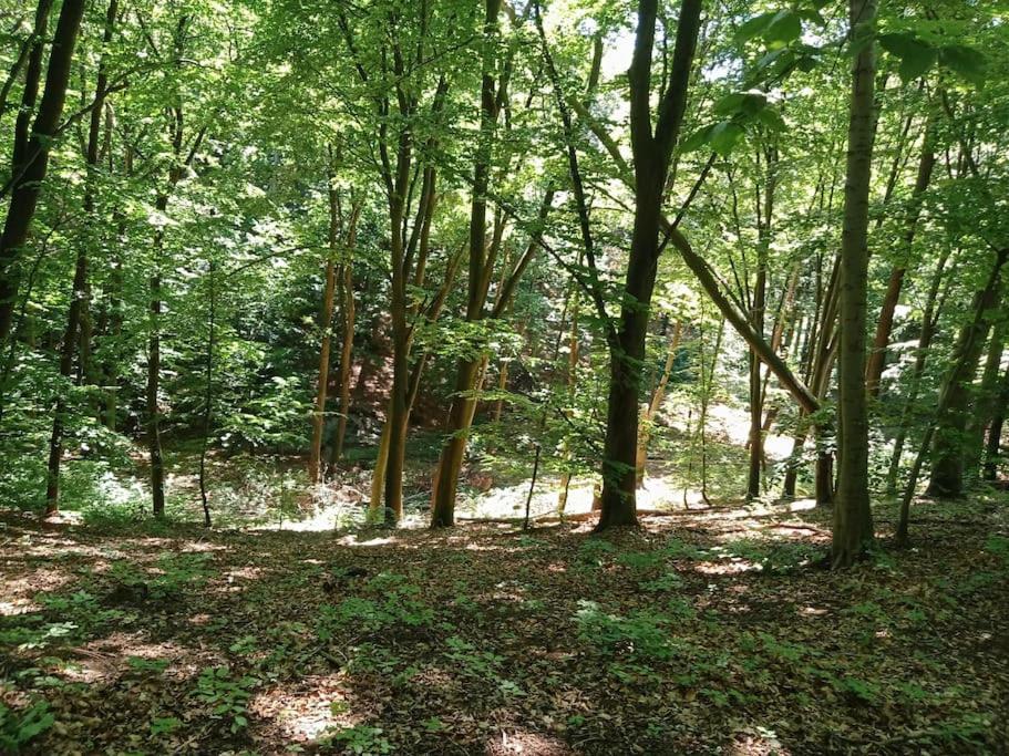 Orlowski Spokoj Gdynia
